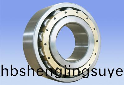Single row cylindrical roller bearings
