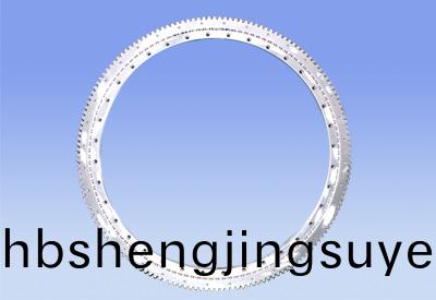 Slewing Bearing